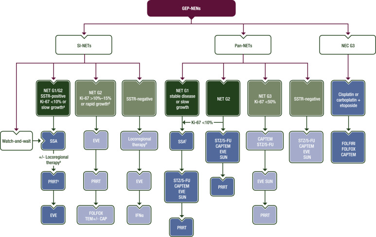 ESMO odporúčania pre systémovú liečbu GEP-NEN