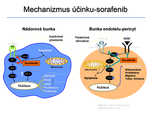 mechanizmus ucinku