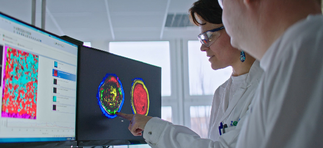 lekári skúmajúci snímky