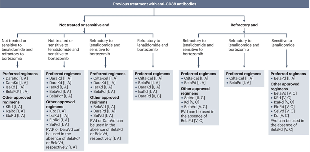 EHA - EMN odporúčania pre liečbu pacientov s RRMM v druhej línii po predchádzajúcej liečbe s daratumumabom